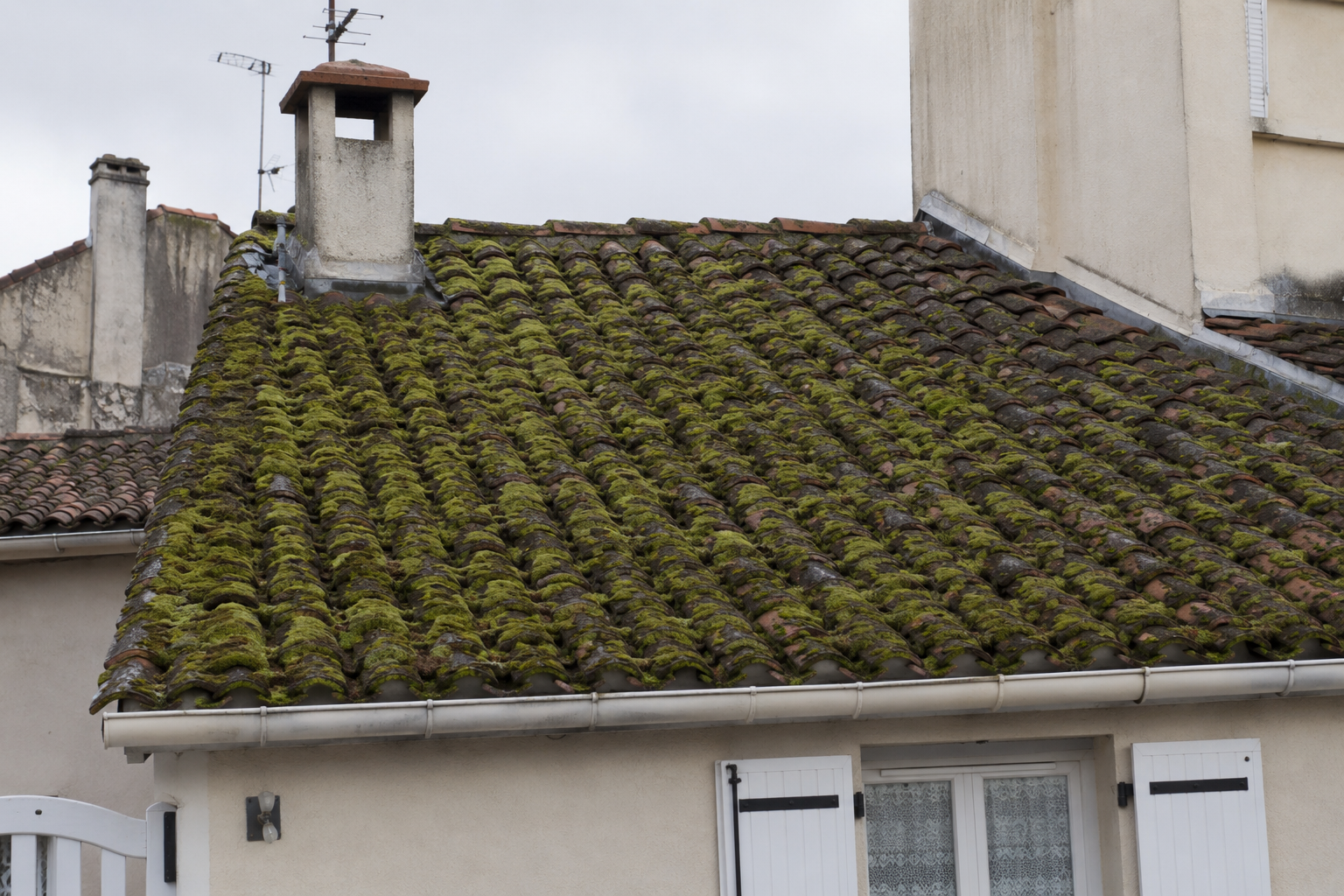 Toiture avec mousse avant nettoyage
